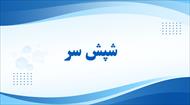 پاورپوینت در مورد شپش سر