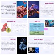 پاورپوینت معرفی هشت‌پا