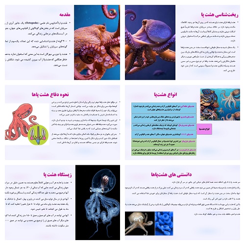 پاورپوینت معرفی هشت‌پا